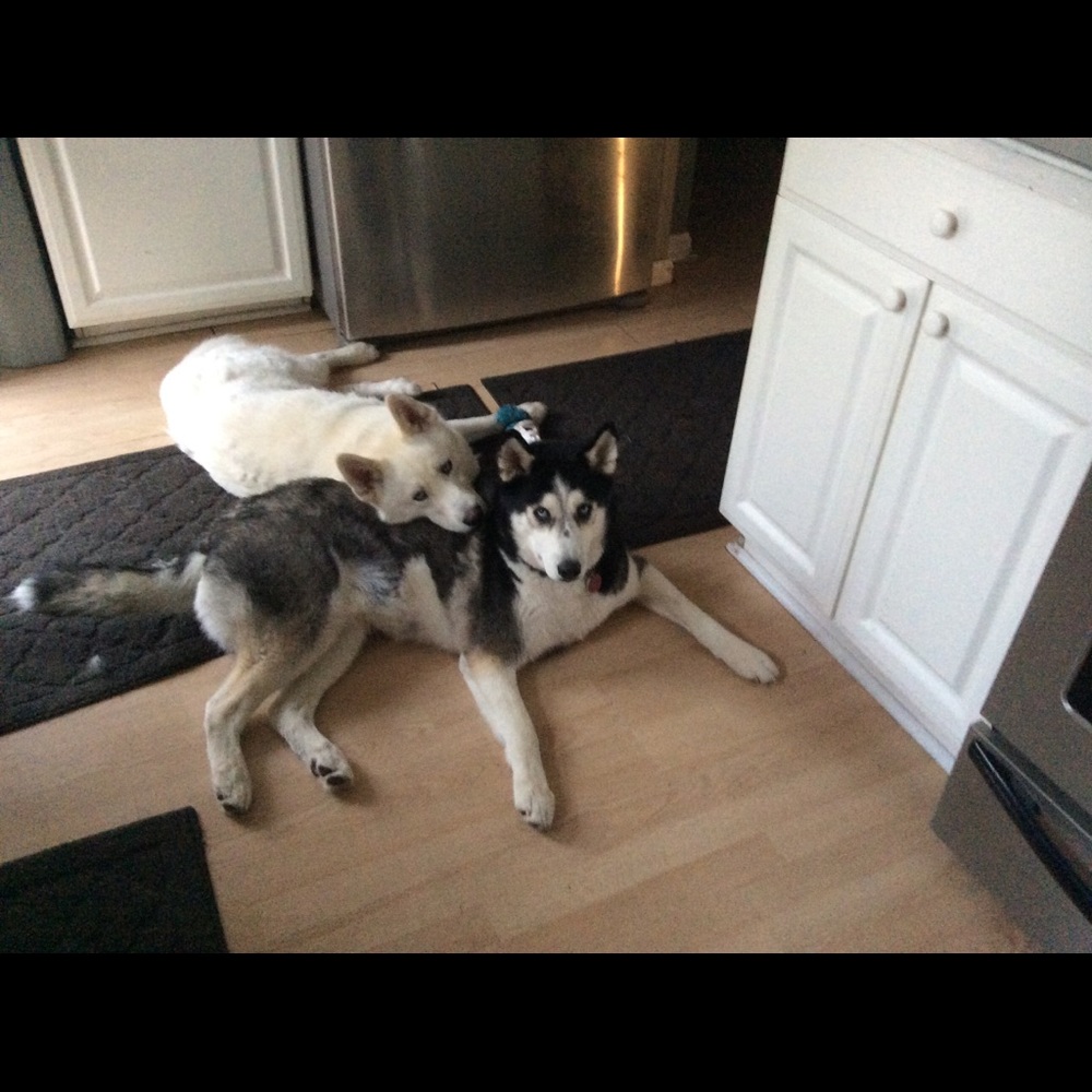 Meet your Posher, Deena